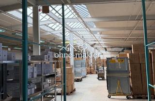 Büro zu mieten in 68519 Viernheim, Lagerhalle in Viernheim