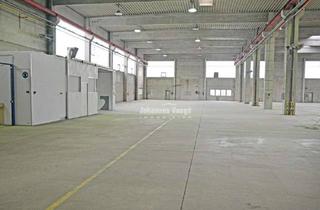 Gewerbeimmobilie mieten in 31157 Sarstedt, Sehr gepflegte Hallenfläche (Teilfläche: ca. 1.500 m²) zu vermieten