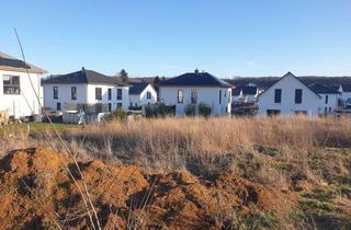 Grundstück zu kaufen in 61197 Florstadt, Baugrundstück *Provisionsfrei* in Florstadt-Stammheim