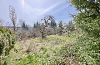 Grundstück zu kaufen in 89155 Erbach, Exponiertes 2.000 m² großes Baugrundstück in Erbach in gesuchter Lage