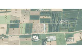 Immobilie kaufen in 71336 Waiblingen, Grünlandgrundstücke in Waiblingen – einzeln oder gemeinsam verfügbar