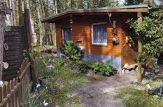 Haus kaufen in 49429 Visbek, Visbek - Dauer Campingplatz Haus