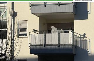 Wohnung kaufen in Auf Hart 81, 71706 Markgröningen, Markgröningen - Bezugsfreie renoviert Single-Pendlerwohnung mit Balkon, TG-Stellplatz, naturnahe Lage