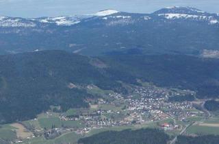 Wohnung kaufen in 94255 Böbrach, Modernisierte 4-ZIMMER WOHNUNG mit traumhaftem Ausblick