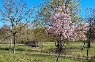 Wohnung kaufen in Adornostr. 28, 14612 Falkensee, **Selbst einziehen oder vermieten - beides ist möglich** den Sommer im Garten genießen