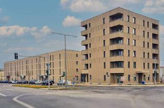 Wohnung mieten in Daumstraße 204, 13599 Haselhorst, Helle 2-Zimmer-Wohnung mit Balkon – barrierefreie Objektgestaltung - provisionsfrei