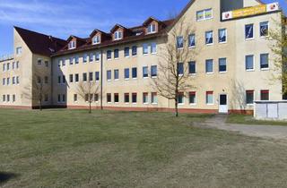 Wohnung mieten in Goldbergerstraße 70, 18273 Güstrow, neu renovierte 1-Zimmer-Wohnung mit Blick ins Grüne im Dachgeschoss