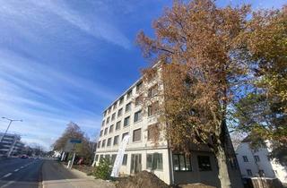 Wohnung mieten in Bäckergasse 13, 93059 Steinweg, Das Beste kommt zum Schluß! Sonnige 2-Zimmer im 1.OG