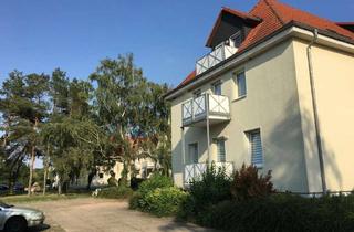 Wohnung mieten in Magdeburger Landstraße 6e, 39164 Klein Wanzleben, Rein ins Wohnglück: 2-Zimmer-Wohnung mit Balkon