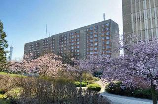 Wohnung mieten in Hamburger Allee, 19063 Neu Zippendorf, 3-Raum-Wohnung im 8. Obergeschoss - Weitblick über Neu Zippendorf