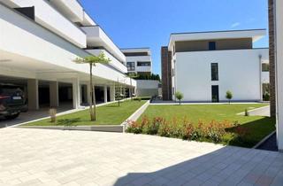 Wohnung mieten in 56235 Ransbach-Baumbach, Modernes Wohnen im Erstbezug – Stilvolle Wohnungen mit Garten oder großzügiger Terrasse