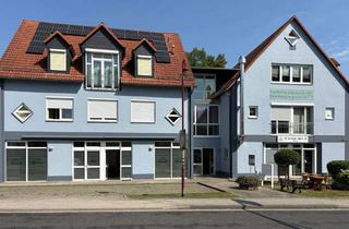 Wohnung mieten in Trageserstr., 04567 Kitzscher, Wohlfühloase, Helle-großzügige 2- Raum Wohnung mit EBK