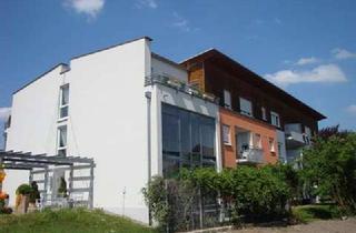 Wohnung mieten in Bahnhofstraße 19, 76709 Kronau, 3 ZKB-Komfort-ETW (2.OG Nr. 14) im "Betreuten Wohnen" in Kronau!