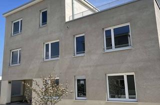 Wohnung mieten in Kreuzäckerstraße, 85055 Oberhaunstadt, 2-Zimmer-Wohnung mit sonniger Dachterrasse