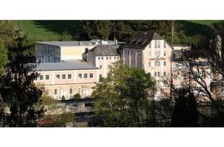 Wohnung mieten in Gebrüder-Wahl-Straße 21, 35619 Braunfels, Geschmackvolles, teilmöbliertes Studio mit EBK in Braunfels