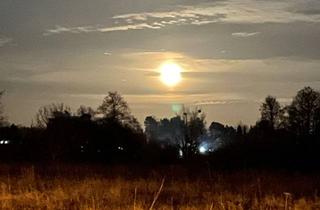 Wohnung mieten in 15370 Fredersdorf-Vogelsdorf, 2-Zimmer Souterrain-Wohnung in Fredersdorf-Vogelsdorf