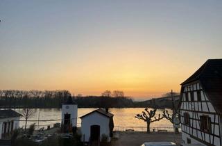 Wohnung mieten in 67547 Innenstadt, Helle 2-Zimmer Wohnung mit Rheinblick in Worms