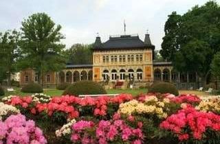 Gewerbeimmobilie kaufen in 08645 Bad Elster, Einzigartige Gelegenheit in Bad Elster!