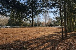 Haus kaufen in Kestermannstraße, 82031 Grünwald, Provisionsfrei & unter Verkehrswert - Parkgrundstück