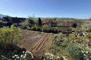 Bauernhaus kaufen in 79379 Müllheim, Ehemaliger Bauernhof mit viel Ausbaupotenzial!Winzerkeller, Garten, traumhafter Innenhof....