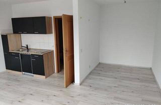 Wohnung mieten in 07751 Großlöbichau, helles 1 Raum Apartement mit Schlafnische und Einbauküche in Jena-Cospeda