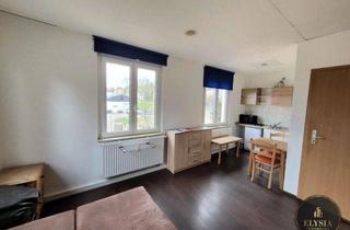 Wohnung mieten in 08056 Zwickau, möbliertes 1-Zimmer Apartment in ZWICKAU Oberhohndorf