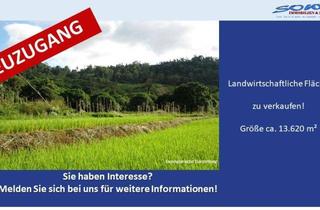 Grundstück zu kaufen in 86669 Königsmoos, Großzügige Landwirtschaftsfläche in Untermaxfeld - Ein Objekt von SOWA Immobilien & Finanzen Ihrem Immobilienprofi vor Ort