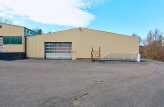 Gewerbeimmobilie mieten in 72401 Haigerloch, Vielseitig nutzbare Gewerbehalle in Haigerloch – sofort verfügbar