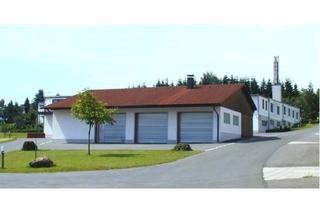 Gewerbeimmobilie kaufen in Fabrikstraße, 93492 Treffelstein, Werkstatt/Montagehalle in Treffelstein zu verkaufen