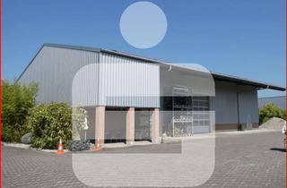 Gewerbeimmobilie mieten in 79790 Küssaberg, Gewerbehalle in Ettikon