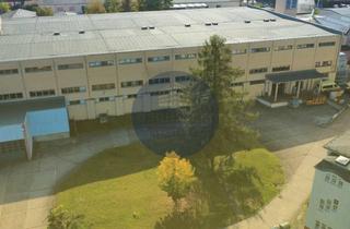 Gewerbeimmobilie kaufen in 07937 Zeulenroda-Triebes, + Nur ca. 129 €/m² + Gewerbekomplex + Leerstehend + ca. 10.483 m² Fläche + Zeulenroda-Triebes+D16405