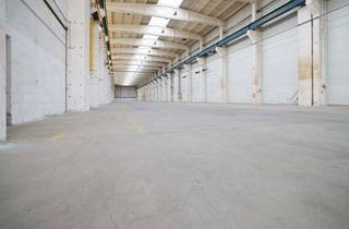 Büro zu mieten in Gherenseestraße 19, 13053 Alt-Hohenschönhausen, 2.868 m2 Halle mit Büroräumen zu vermieten!