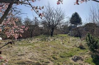 Grundstück zu kaufen in 18347 Ostseebad Wustrow, Baugrundstück in ruhiger Wohnlage