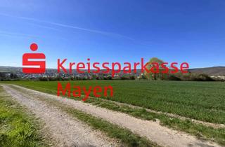 Grundstück zu kaufen in 56727 Mayen, Provisionsfrei. Entwicklungsflächen mit Zukunftsperspektive.