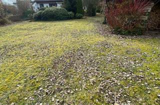 Grundstück zu kaufen in 21394 Westergellersen, Traumhaftes Grundstück / 800 m² / Nähe Salzhausen