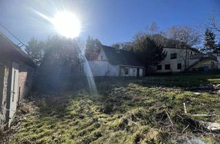 Grundstück zu kaufen in 18528 Bergen, Exklusive Ruheoase mit Boddenblick – Premium-Baugrundstück in Zittvitz auf Rügen