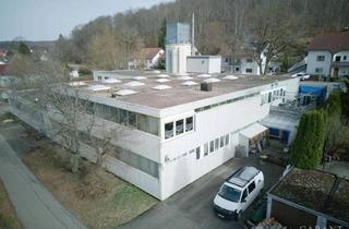 Gewerbeimmobilie kaufen in 72587 Römerstein, Gewerbehaus mit Produktionsflächen, Werkstätten, Büros, Wohnung