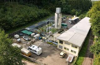 Immobilie kaufen in 67468 Frankenstein, ** ALLEINLAGE - Jagd und Forstgebiet für MACHER und Projektbegeisterte **