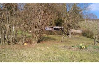 Gewerbeimmobilie kaufen in 97320 Buchbrunn, Großes Freizeitgrundstück zwischen Weingärten