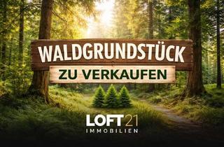 Gewerbeimmobilie kaufen in 85110 Kipfenberg, ** SECRET-SALE: Attraktives Waldgrundstück für Liebhaber und Investoren – vielseitig nutzbar **