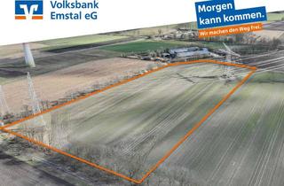 Gewerbeimmobilie kaufen in 49779 Niederlangen, Aus gutem Grund: (Acker-)Land in Niederlangen-Siedlung zu kaufen!