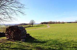 Wohnung kaufen in 87770 Oberschönegg, Top 3-4 Zimmer ETW mit Grundstück und Wirtschaftsgebäude!!! Mit ca.2045 m² Grundstück!!