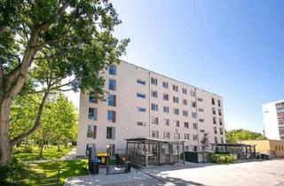 Wohnung mieten in Müller-Berset-Str., 01309 Striesen-Süd, Rollstuhlgerechte 2 Raumwohnung mit Terrasse