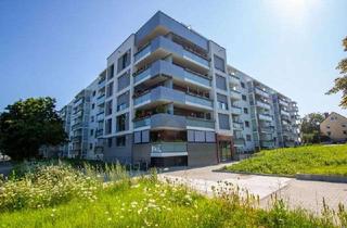 Wohnung mieten in Neukirchener Weg, 06128 Gesundbrunnen, Nachnutzer gesucht! 2-Raumwohnung barrierearm mit Dusche + Aufzug!