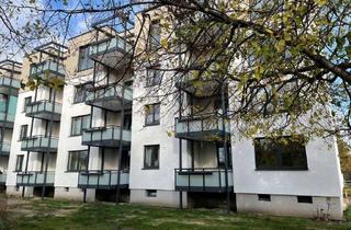 Wohnung mieten in Lüneburger Ring, 38448 Vorsfelde, Demnächst frei! 2-Zimmer-Wohnung in Wolfsburg Vorsfelde