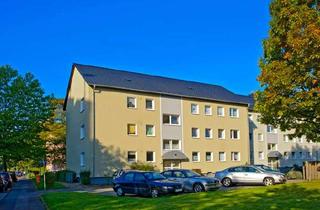 Wohnung mieten in Lindenweg 32, 33014 Bad Driburg, Geräumige EG Wohnung sofort möglich