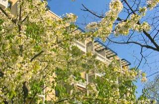 Wohnung mieten in Ehm-Welk-Str. 23, 12619 Kaulsdorf, Ehm-Welk-Str. 23, 4.OG, LI