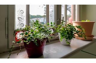 Wohnung mieten in 04654 Frohburg, ERSTBEZUG! Exklusive Wohnung in herrschaftlicher Villa mit Parkgarten & Stellplätzen in Bahnhofsnähe