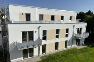 Wohnung mieten in Krischanweg 5e, 18069 Reutershagen, Barrierearm! 2-Zimmer-DG-Wohnung mit Duschbad, Einbauküche, Stellplatz, Terrasse