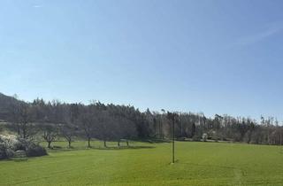 Doppelhaushälfte kaufen in 88690 Uhldingen-Mühlhofen, Doppelhaushälfte in Oberuhldingen